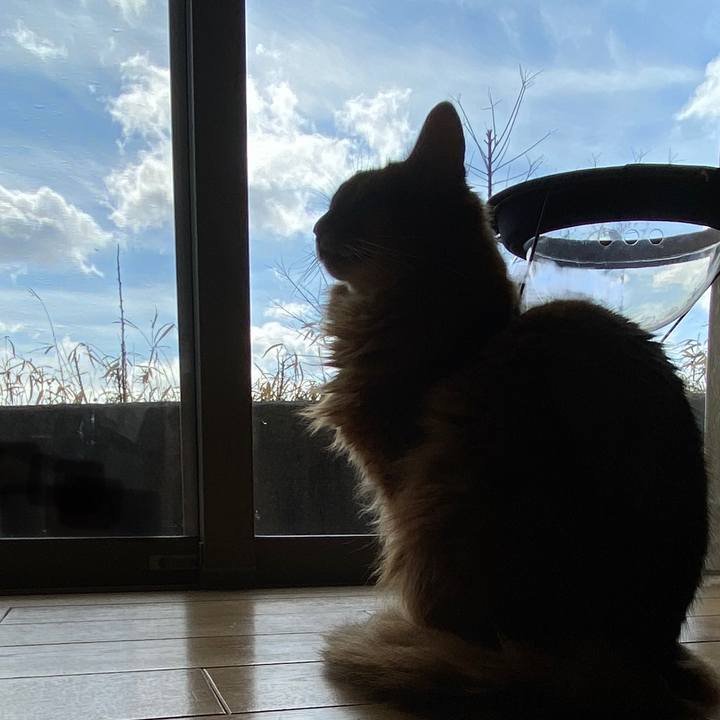 49d6dbbf 9b93 4cca b6f6 41f9aae79e7d 1676430749349