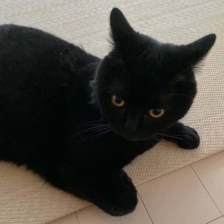 49d6e7c4 fd3c 4010 b686 326a0f840835 1623232528886