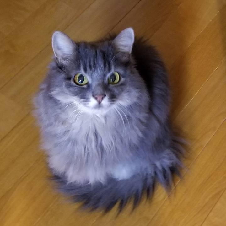 49d6fabe ec3c 4419 8bbc dfe64206fb13 1574029291297