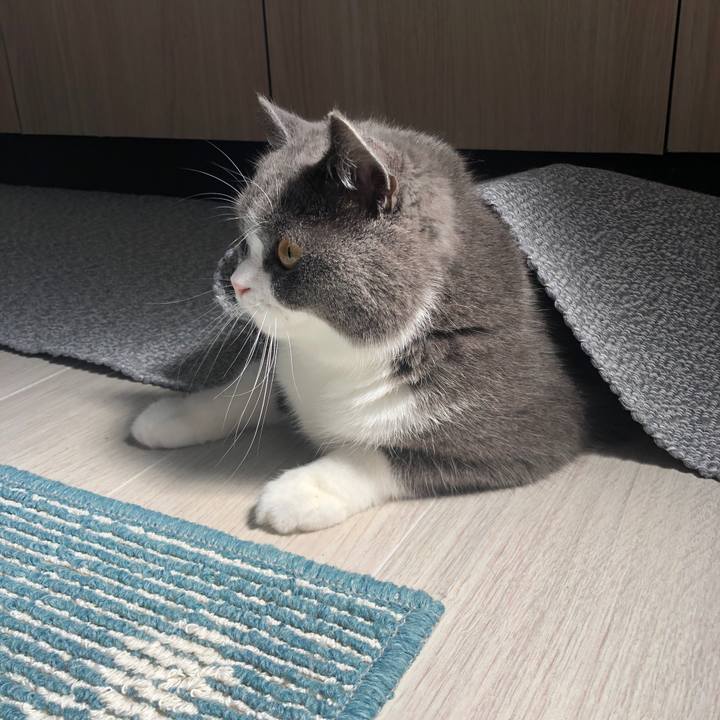 49d73da8 e168 4b54 b840 38cb54d13b05 1560836457369