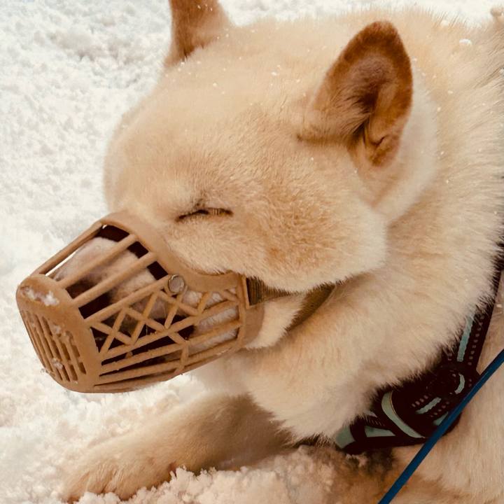 49d73ed4 8648 4235 99f3 447408173445 1741300028417