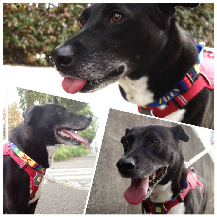 49d75666 8d58 4634 945f 9a011effd444 1667611811031