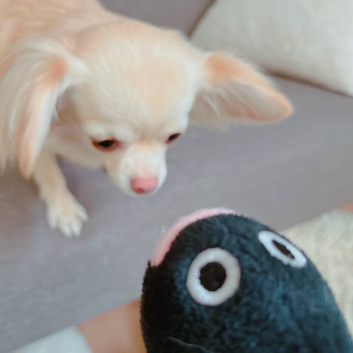 49d76844 06c1 44c6 b7e0 9ab956af1d59 1655708544273