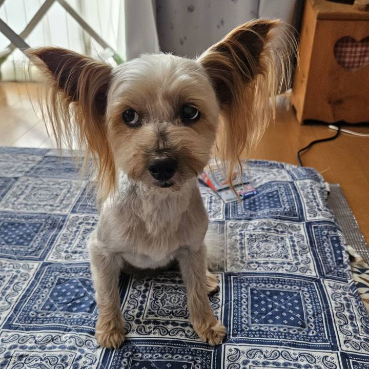 49d7b561 ef19 4148 bf38 88f51c519294 1723541894755