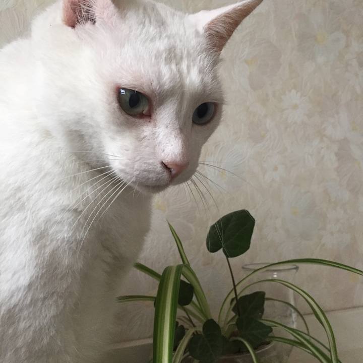 49d7cd5d 792d 4d1e 8f37 57b55e2e58f7 1562141721529