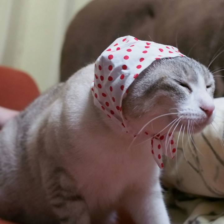 49d808f2 6891 464a ae62 60658feb11a7 1527416554769