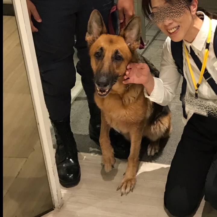 49d80eff 9599 42c5 82ca 6a851ce36359 1573574037478