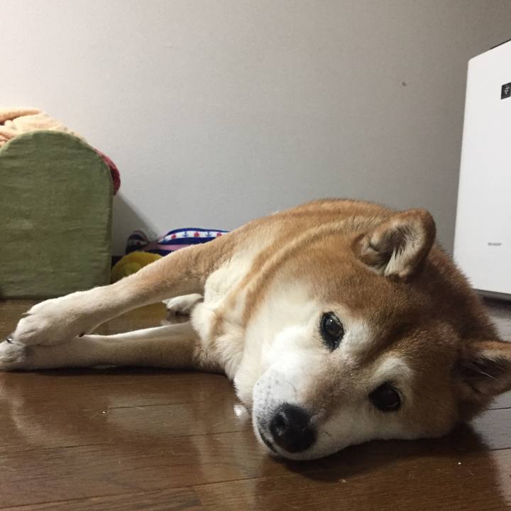 49d81dc2 eb5e 447f a716 052010e2ea64 1518698764062