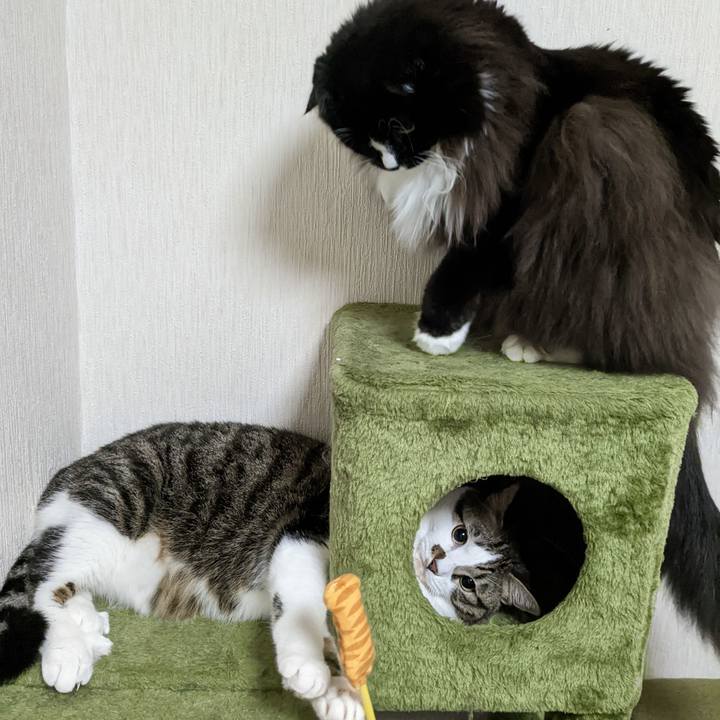 49d829a5 20ef 4e6a b8a3 f20645889a38 1667216454985