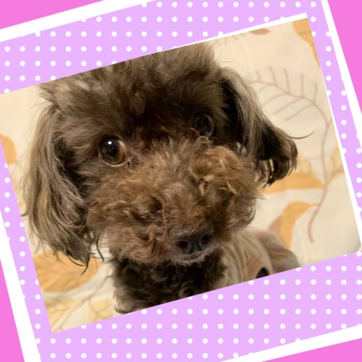 49d82b76 e0af 4c42 b2a9 606e4e064b12 1561551226963