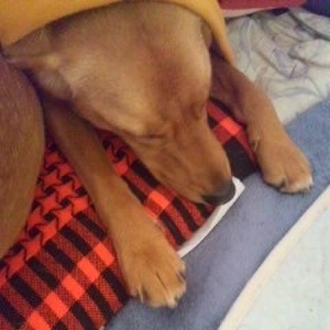 49d83355 62b4 4b20 a33f b36d40eec07e 1514370904853