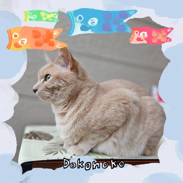 49d8448c d91f 400c b2af 6d3fa269145a 1749209137902