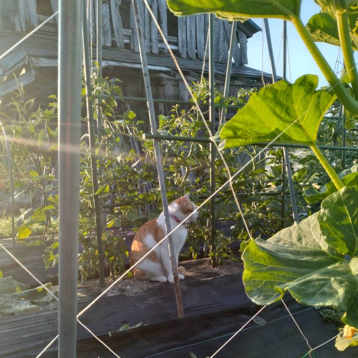 49d87b01 f872 4e64 93bd e021c16b09ab 1750192575758