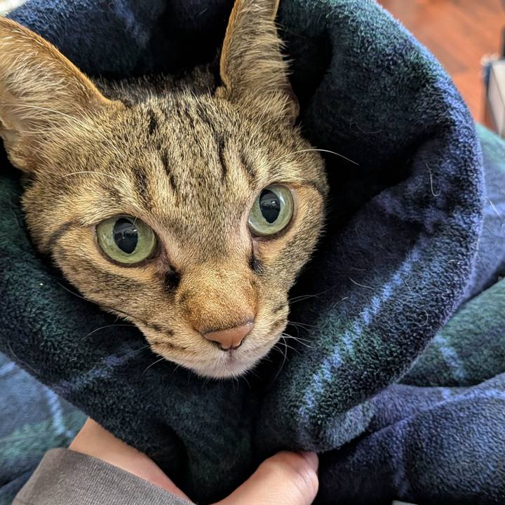 49d88a13 b761 43ae bc27 12e622b9256d 1766289450619