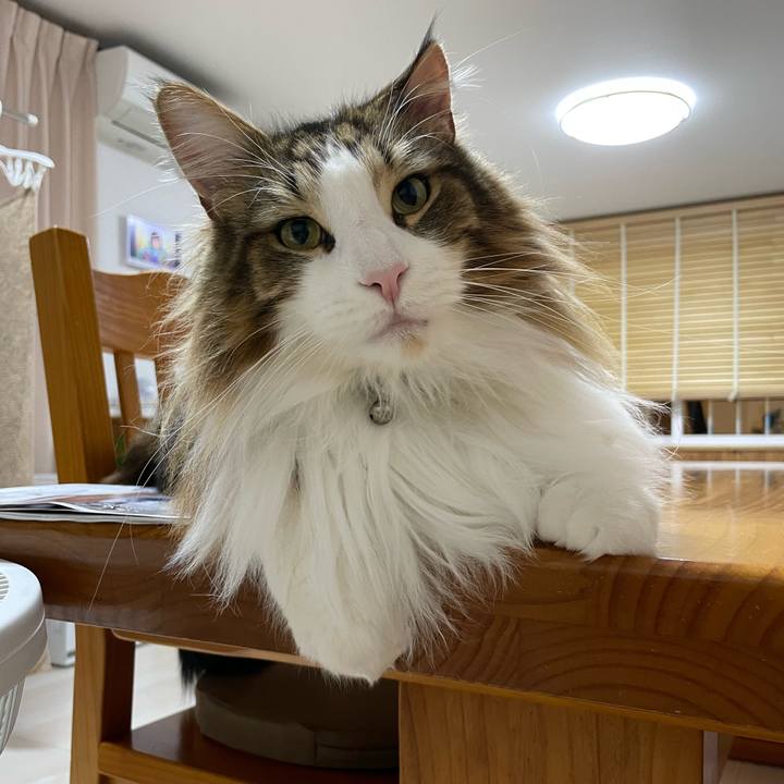 49d89494 89a1 4de3 9026 c126531d6425 1675194315645