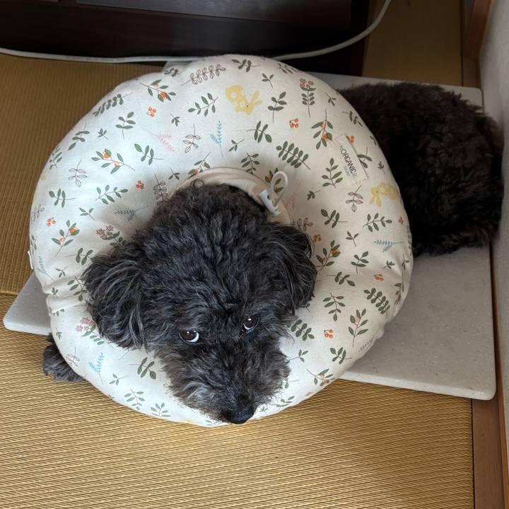 49d8a396 2a59 4023 882d a213bf54a4c6 1745030695083