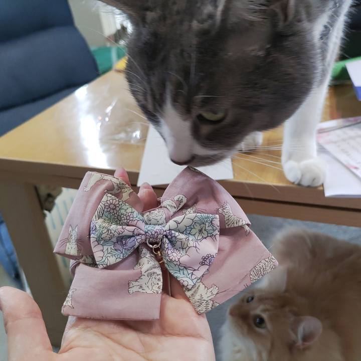 49d8ae1d 0d99 41e9 806e 30c23f6359dd 1716869719054