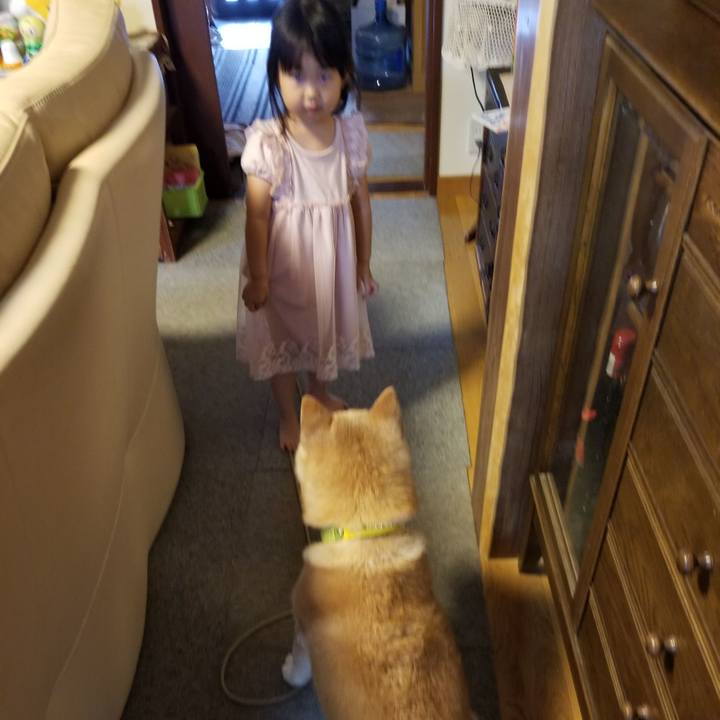 49d8d72b b7ea 4349 a469 f1da63514780 1690015897960