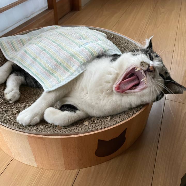 49d8e298 90af 4e32 9dce 08fa2b7819bd 1662106509123