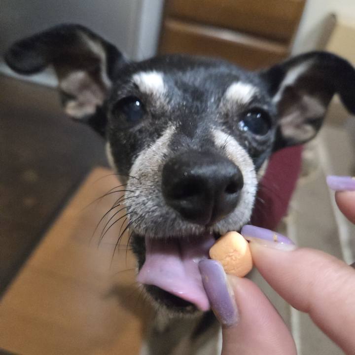 49d90876 336a 40f8 8a50 d57a736bc381 1761421265468