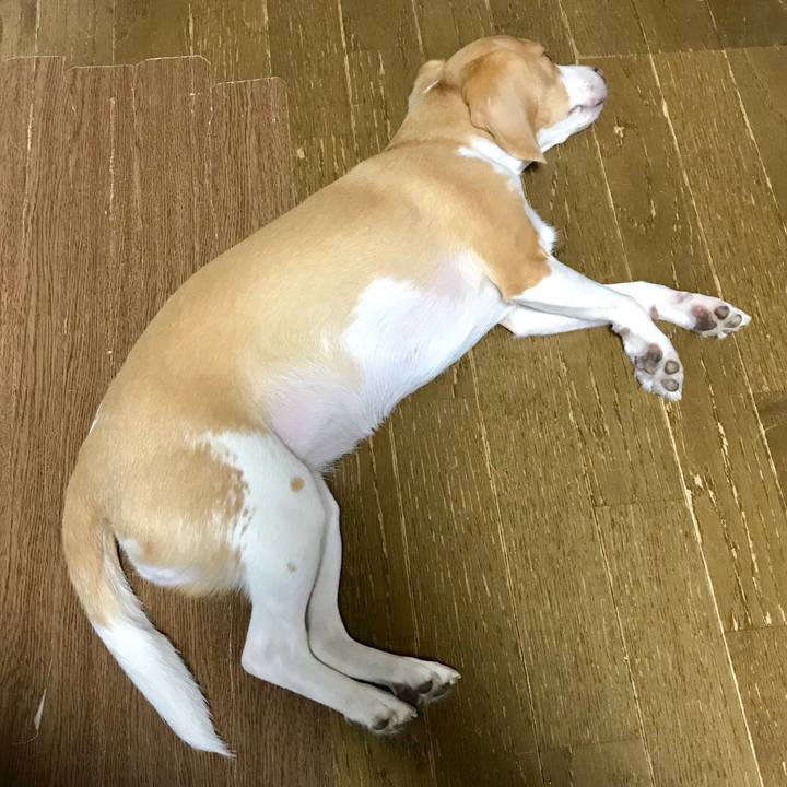 49d91cc5 6534 4954 aefd 9ca749dce6e2 1560772694255