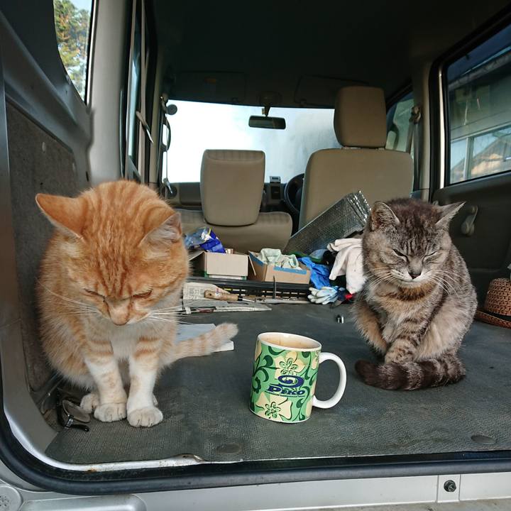 49d926c6 0954 48c6 9be6 e6ea05a4f7bd 1592685430394