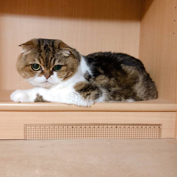 49d93978 6660 4838 b686 90f480c46ee0 1569680917983