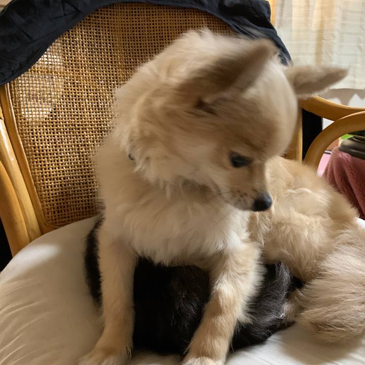 49d95144 49c1 466d b272 c1c793284ab8 1591046727337