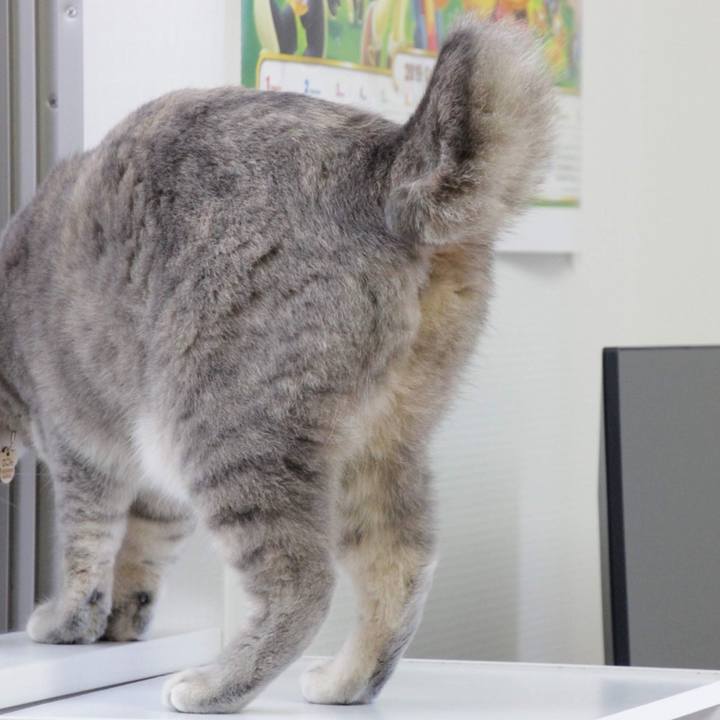 49d9a05b 0390 4e2e bb24 61526f53311b 1573459993123