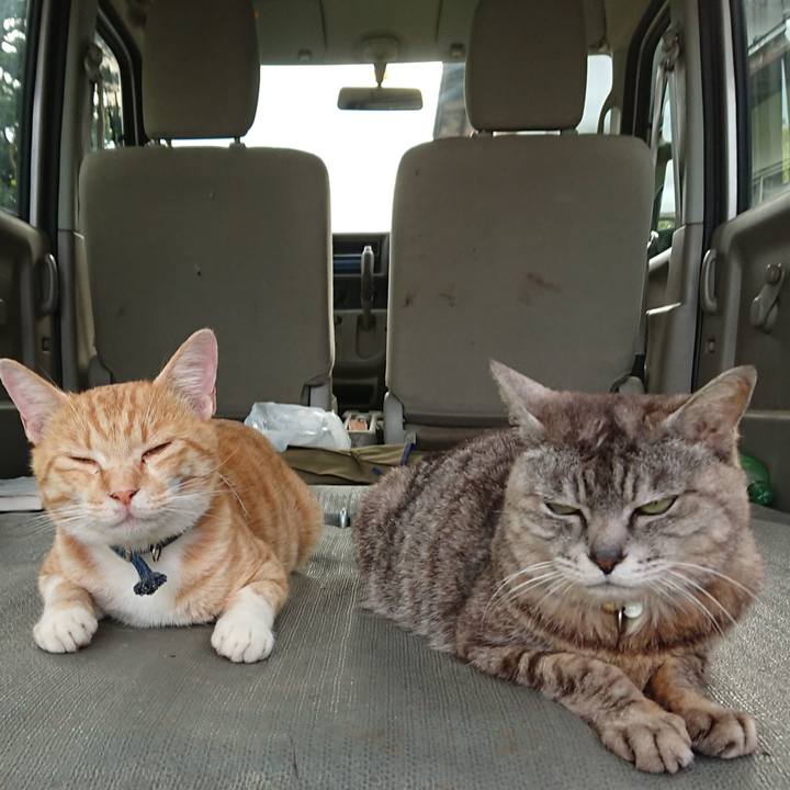 49d9b14a 9259 46b9 9061 7ef4059ed263 1563527033647