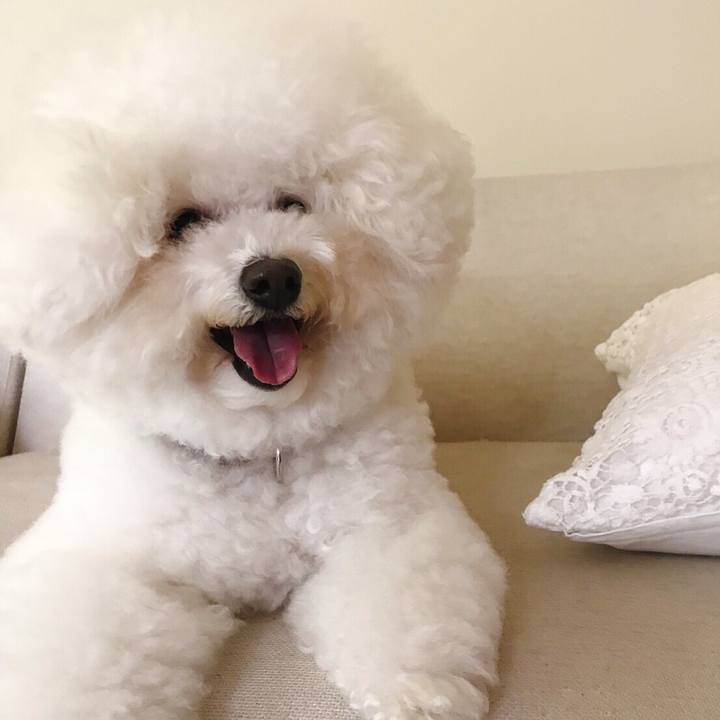 49d9c11f 5d8e 4321 9719 7cc6a691ec85 1508496924203