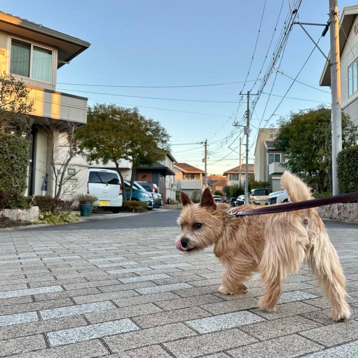 49d9dc1b e566 462e 800a 762a58576dce 1739530666250