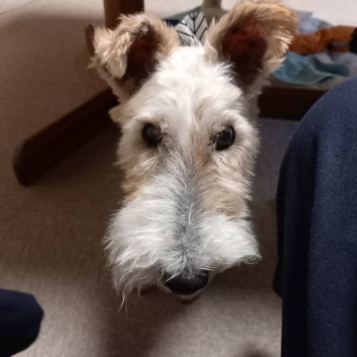 49d9ffc0 6fa8 425f 95ae 20f30cd9933e 1630364697624