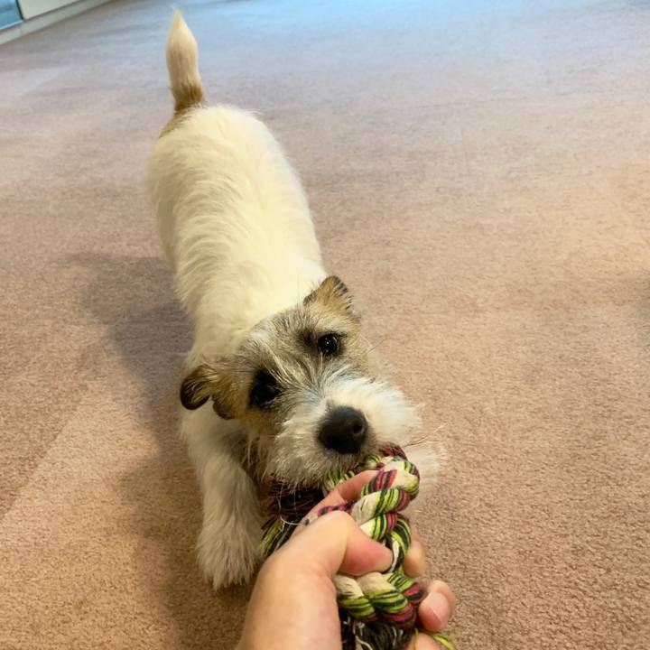 49da39af 9060 4af7 9b87 8f6efb63b72d 1567468059205