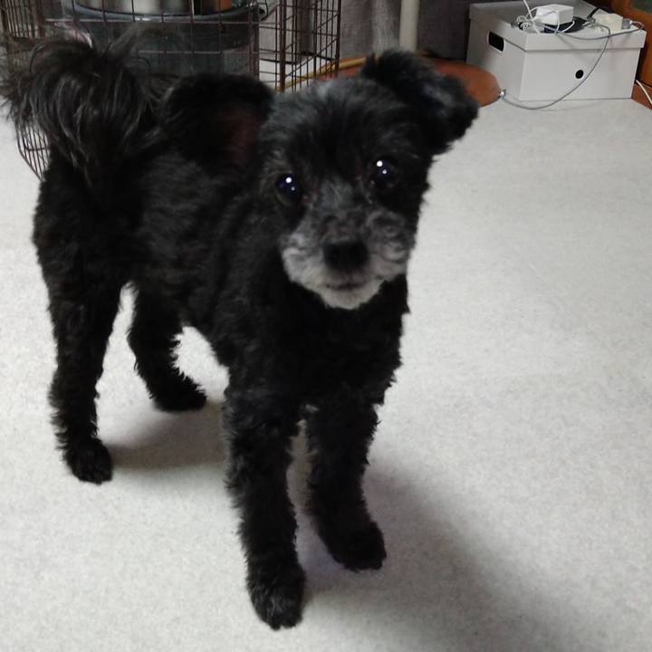 49da3c0d 2dc0 45e1 9e90 3b74762ed370 1614265377749