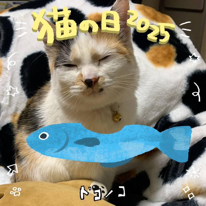 49da60b9 59bf 4dc7 8d2c 1ca133253623 1740370533631