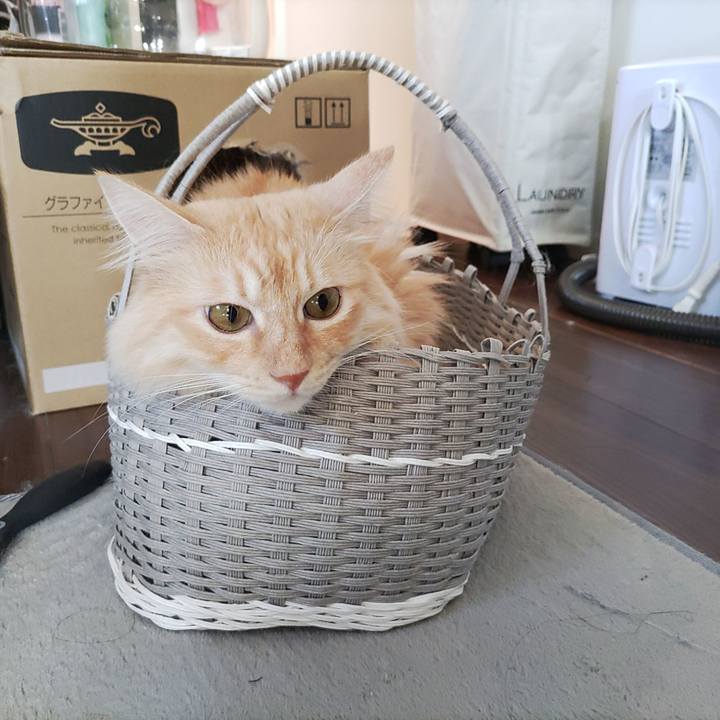 49da733f 06bf 48e0 ac86 1b9afd68a93e 1694657385145