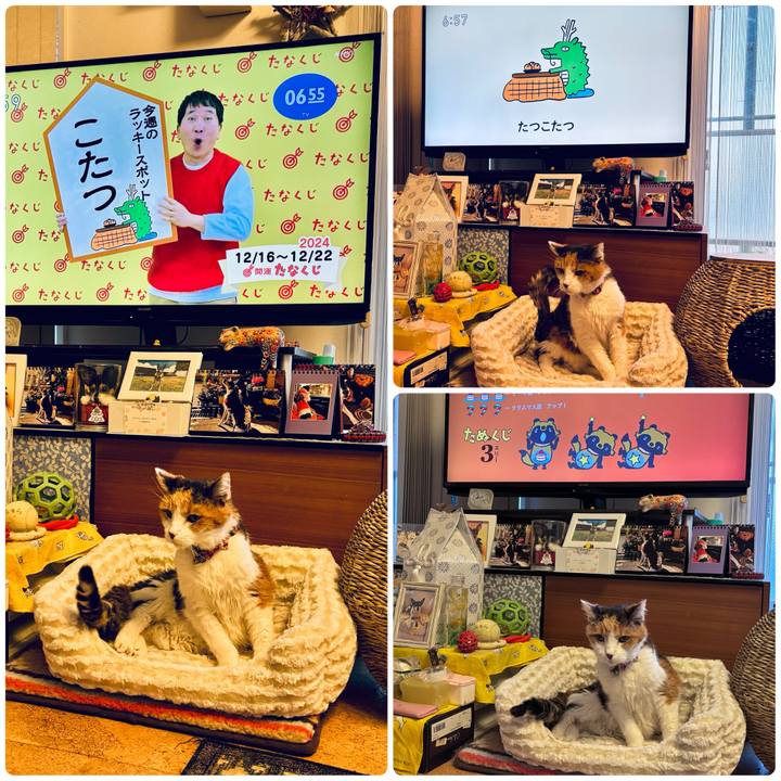 49daa110 44df 4854 9ff1 d957b40838a1 1734301228523