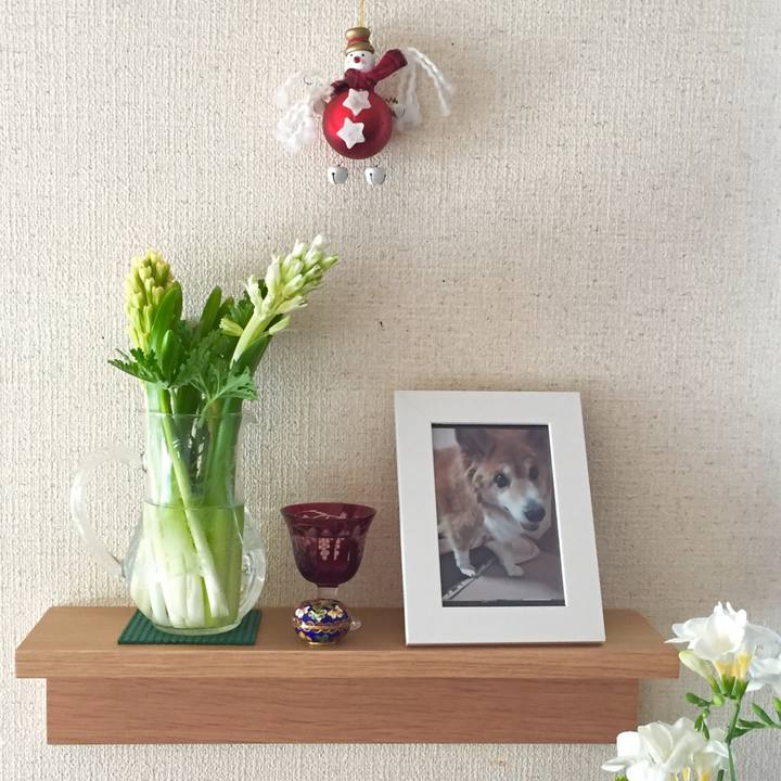 49daace4 5a83 43e7 acc7 6643ccbfebd0 1511496271229