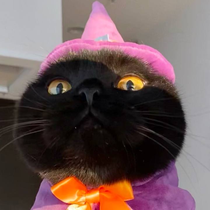 49dae63f f86d 4e55 8103 095d13fbaeab 1667172603772