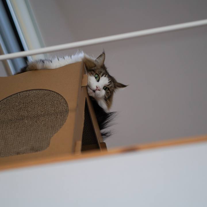 49dae983 aedf 417a bd31 3a71e1b70fd2 1582617160745