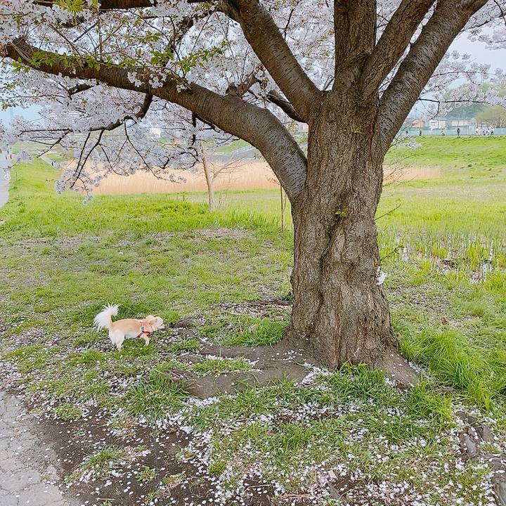 49daec68 738d 463e b53b 5ed32dfdd0b4 1617096018848