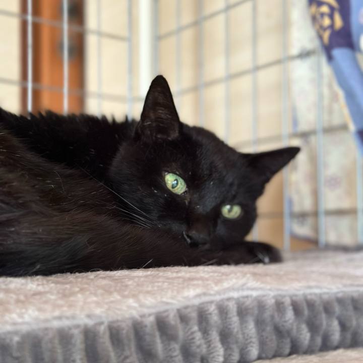 49daf615 8c3d 4fea b047 19a3b3e4a0e7 1710552246838