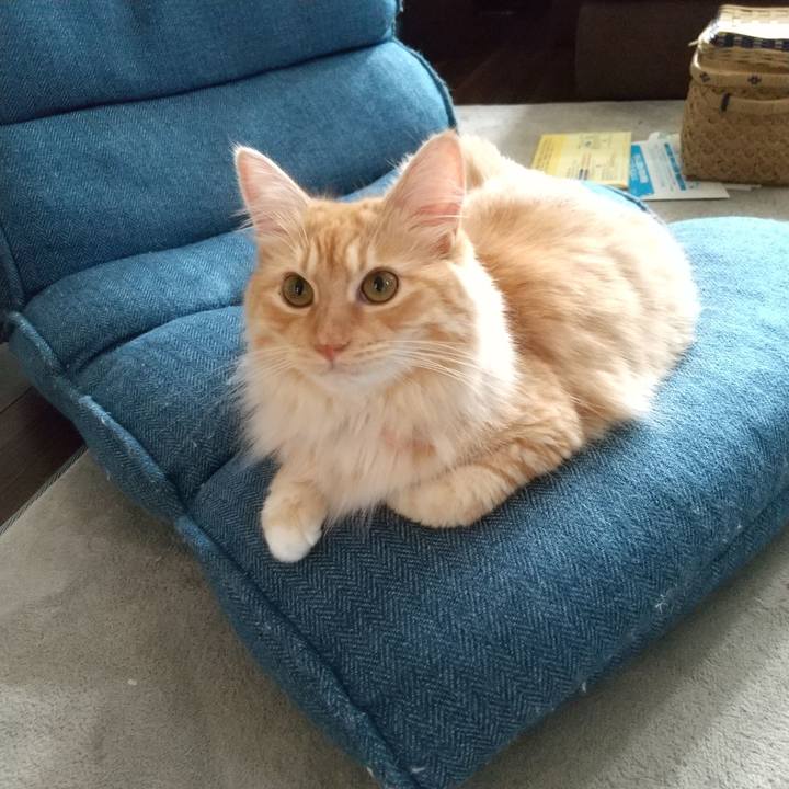 49db26ba 530f 4f93 bcfe 3bee27e83e93 1627953488235