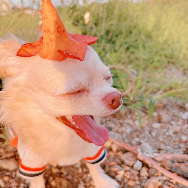 49db32d9 ee42 4d47 a719 9c9bb2fc9d67 1662975234580