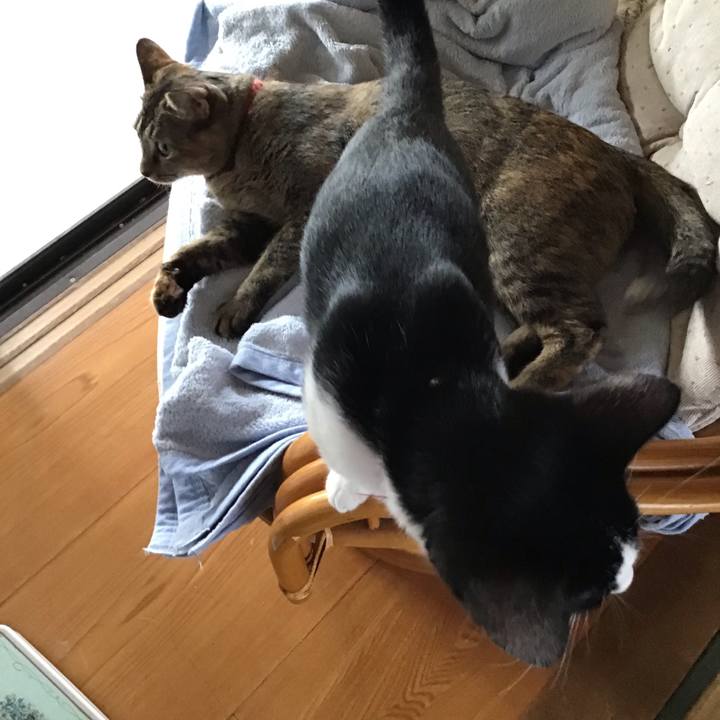 49db831a 89b6 450d 9eaf dce606a35987 1629882414534