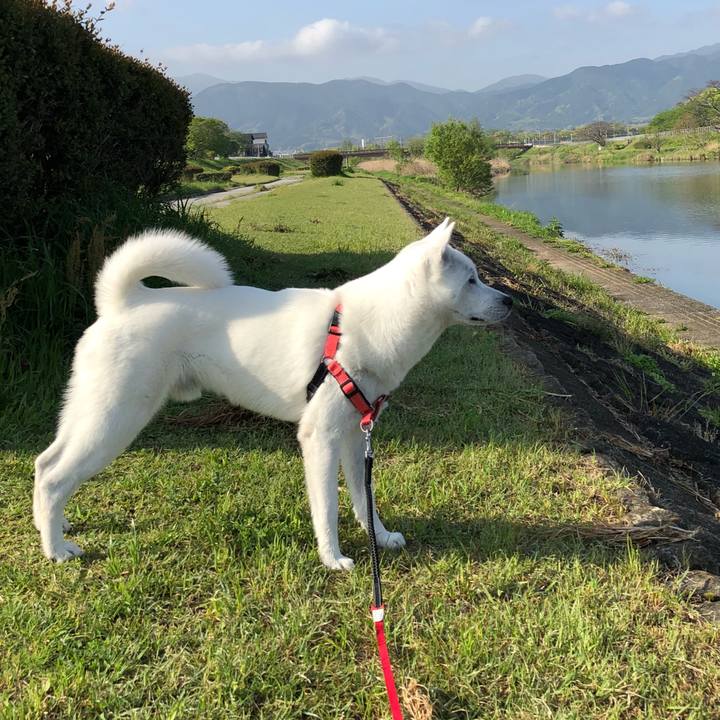 49dbacb8 3751 4cab b4bd c691af1430a2 1524011356742