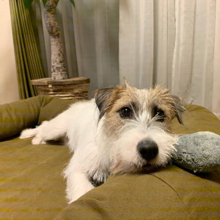 49dbdb2b 1737 464a 94c1 69bae9016ec2 1570879586903