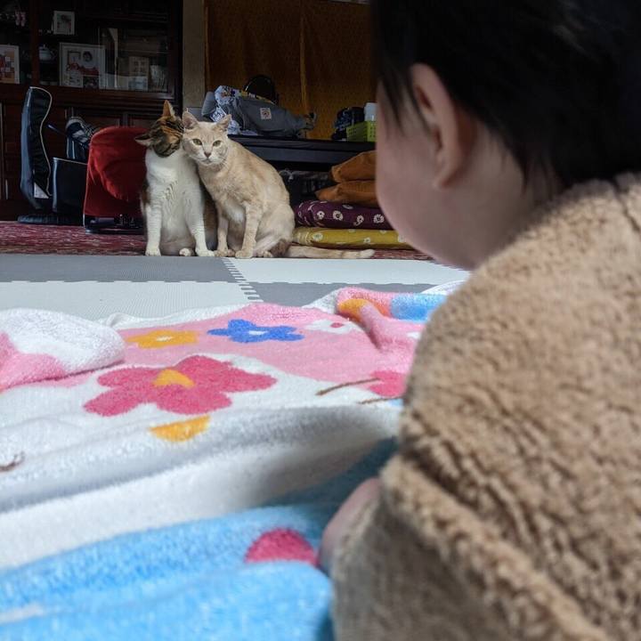 49dc0edc 203d 4fc0 b535 bec18c2a5d28 1671878695421