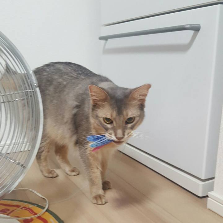 49dc1c76 bd1d 4f35 b4c3 6a227d302fe2 1563884592514